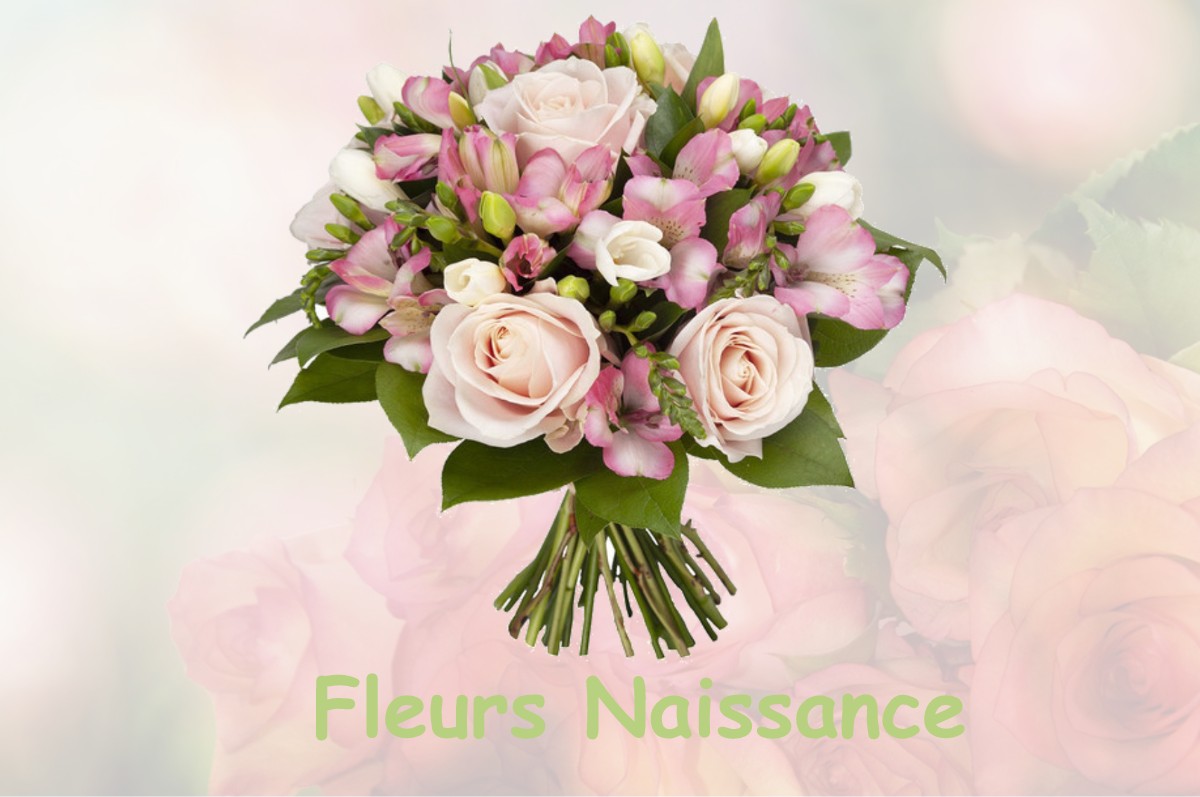 fleurs naissance SAINT-PIERREVILLERS