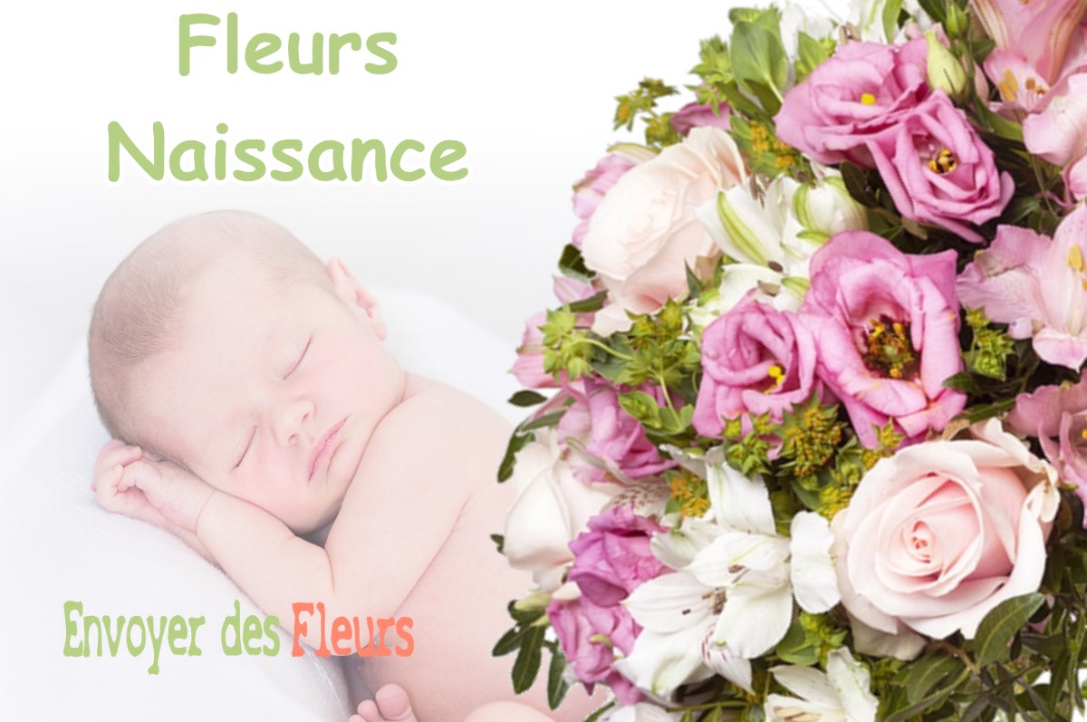 lIVRAISON FLEURS NAISSANCE à SAINT-PIERREVILLERS